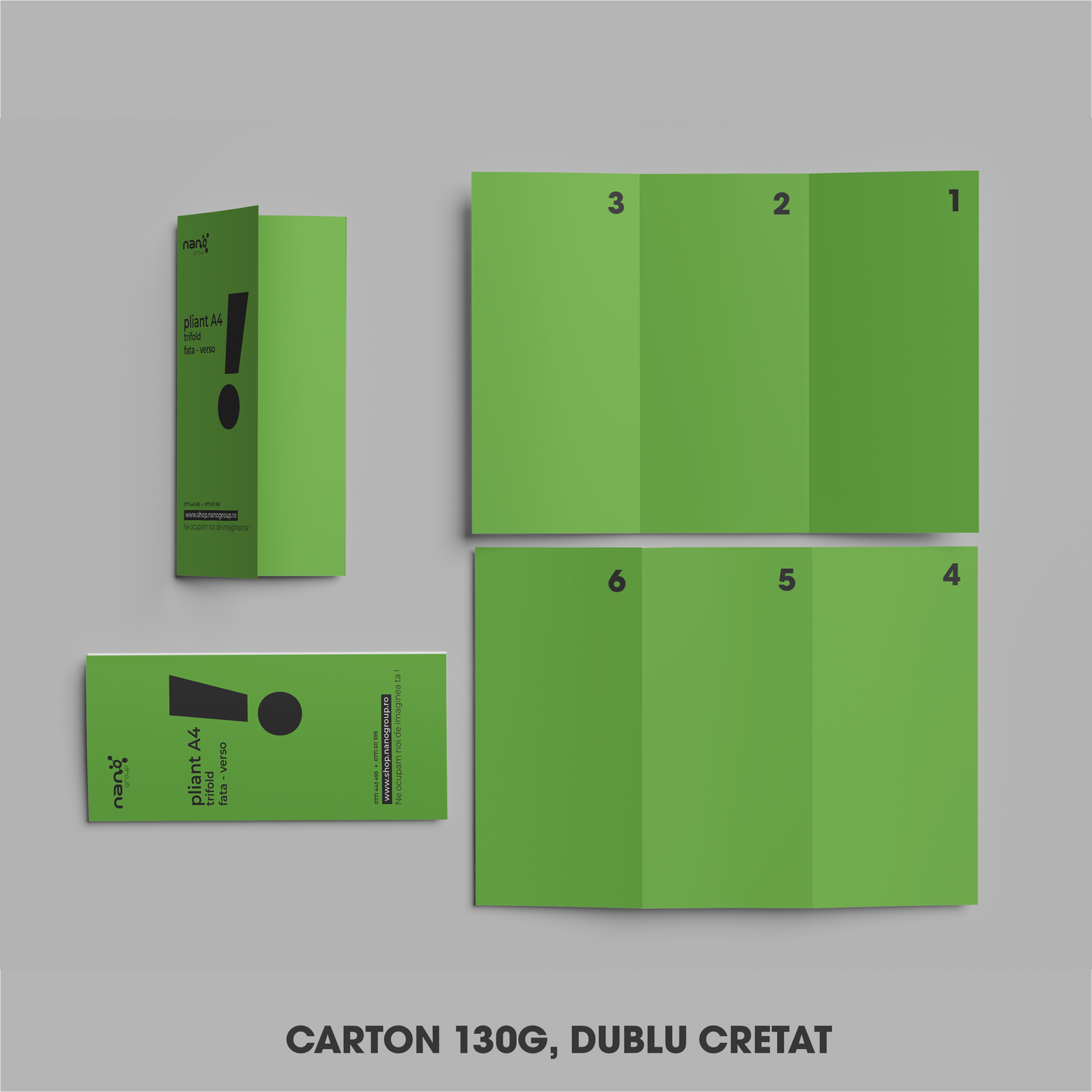 Pliante DL cu Grafică Gratuită