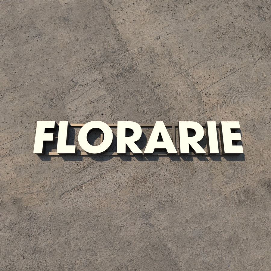 Set Litere Volumetrice Luminoase - FLORARIE